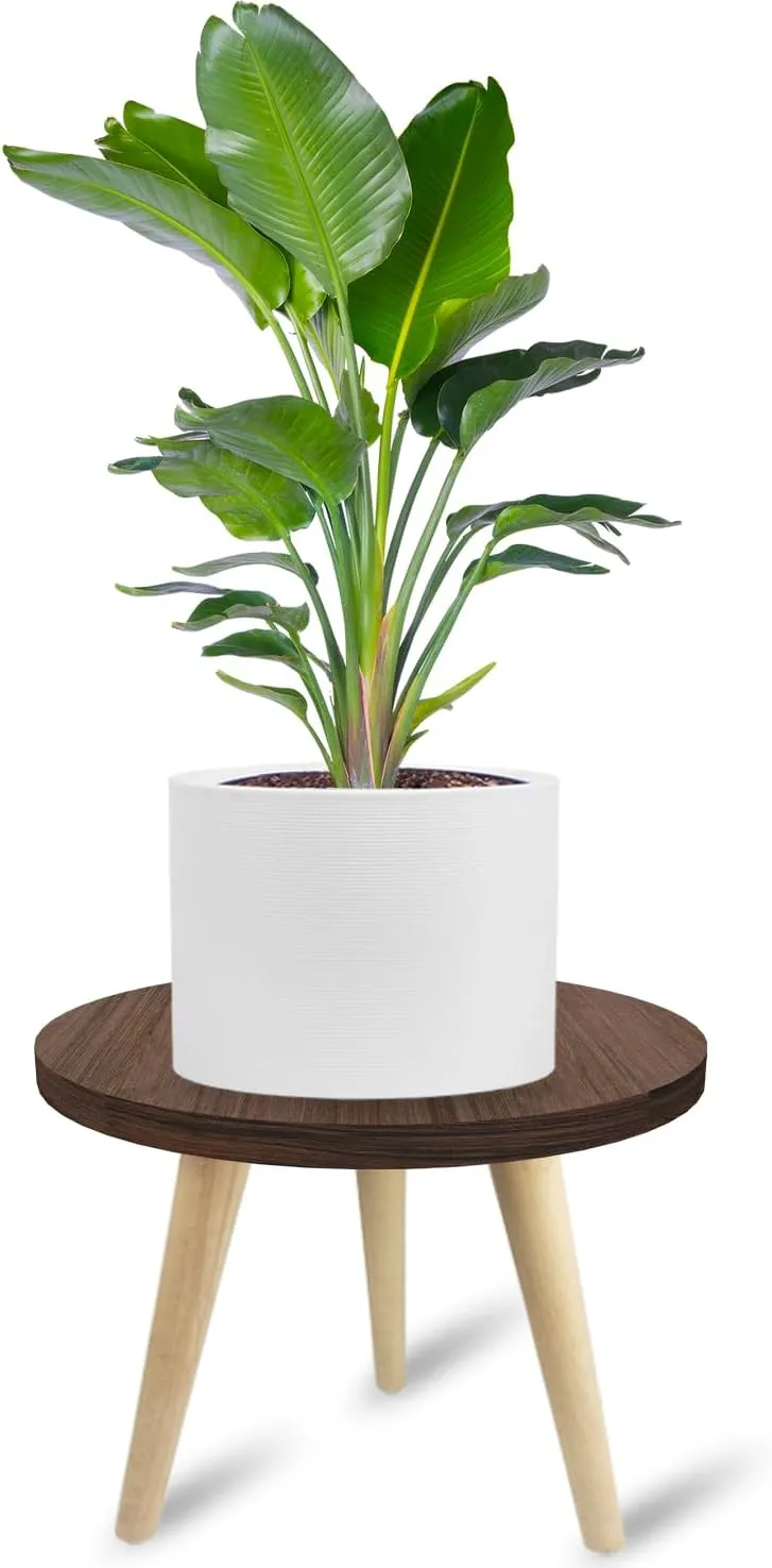 10IN Tall Plant Stand Holder for Indoor Planters, Mid Century Small Round Wood Table for Living Room Corner Floor