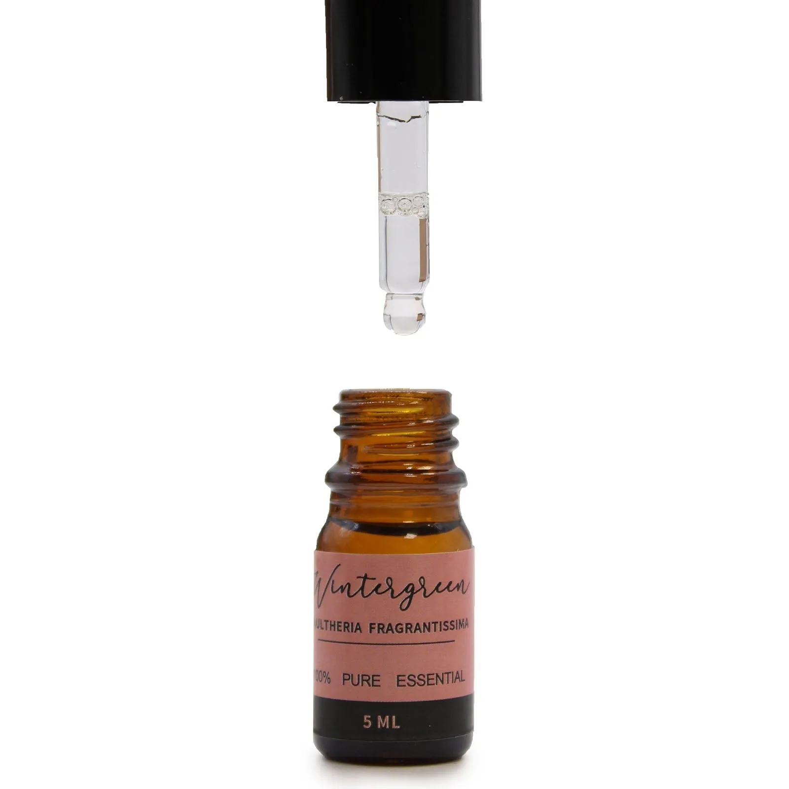 Aromatherapy Essential Oils Set - The Top 12