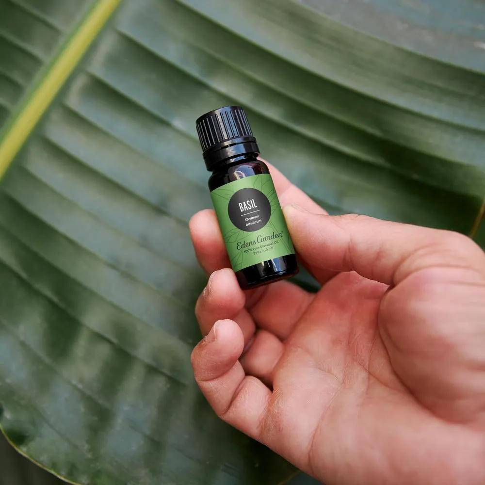 Basil Essential Oil