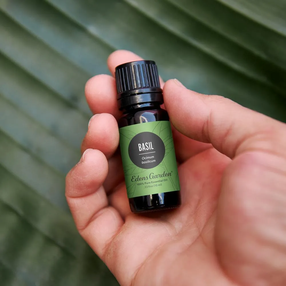 Basil Essential Oil