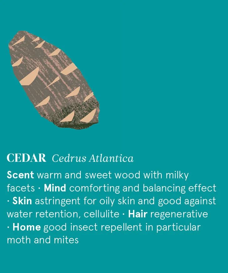 Cedar Atlas Essential Oil 12ml