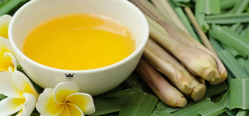 Citronella Pure Essential Oils 10ml For Aromatherapy Mosquito Repellent Humidifier Diffuser Refreshing Essential Oil