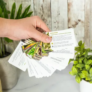 Every Oil w/ Ring - Essential Oil Cards