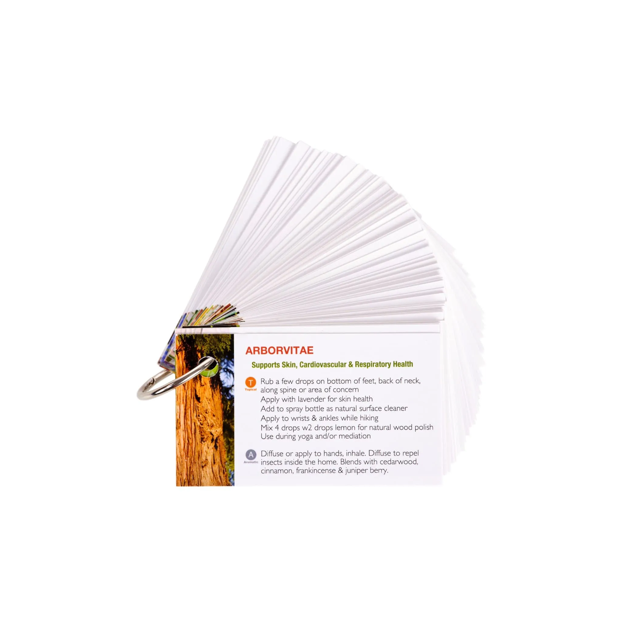 Every Oil w/ Ring - Essential Oil Cards