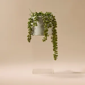 Faux String of Pearls - Cement Pot | 27cm