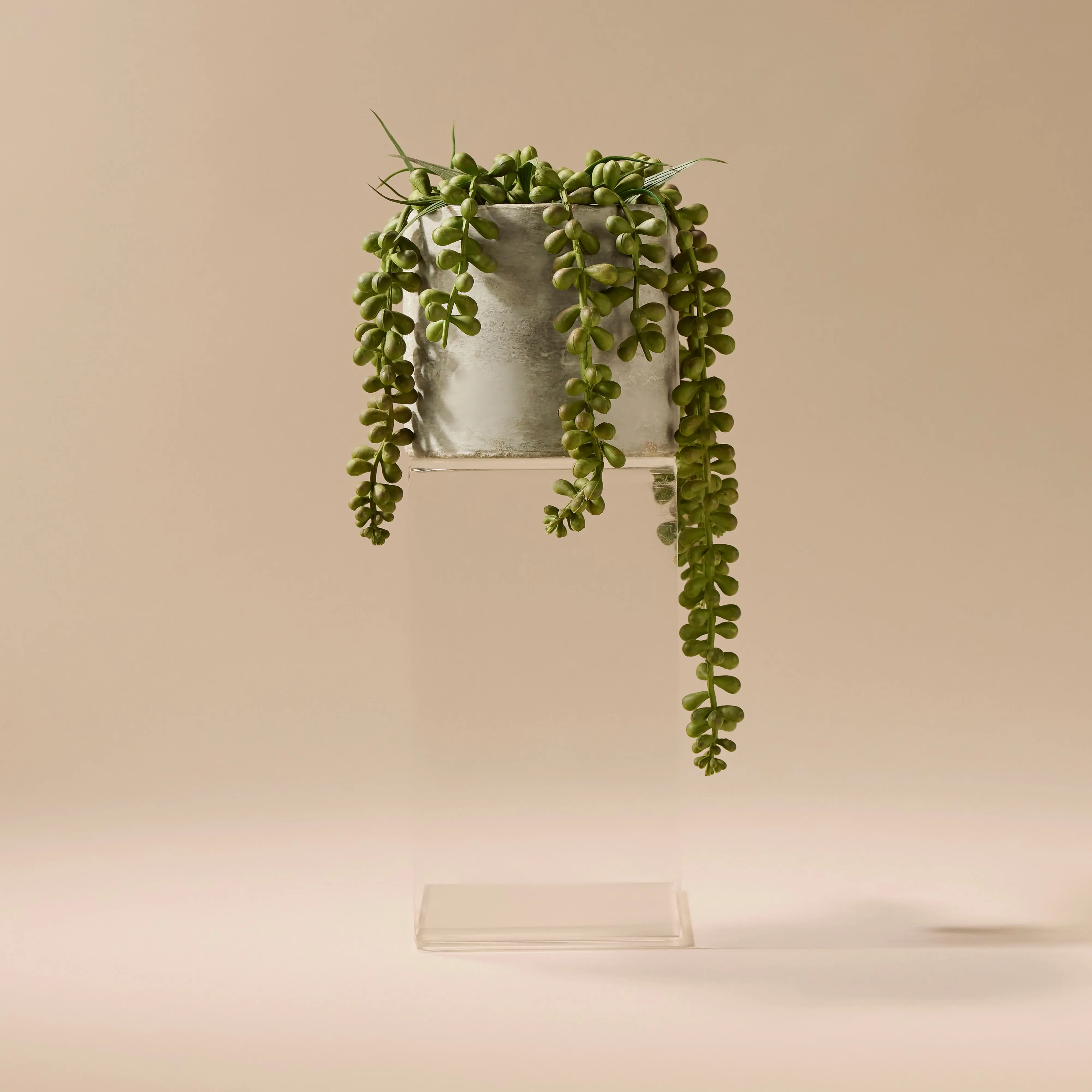 Faux String of Pearls - Cement Pot | 27cm