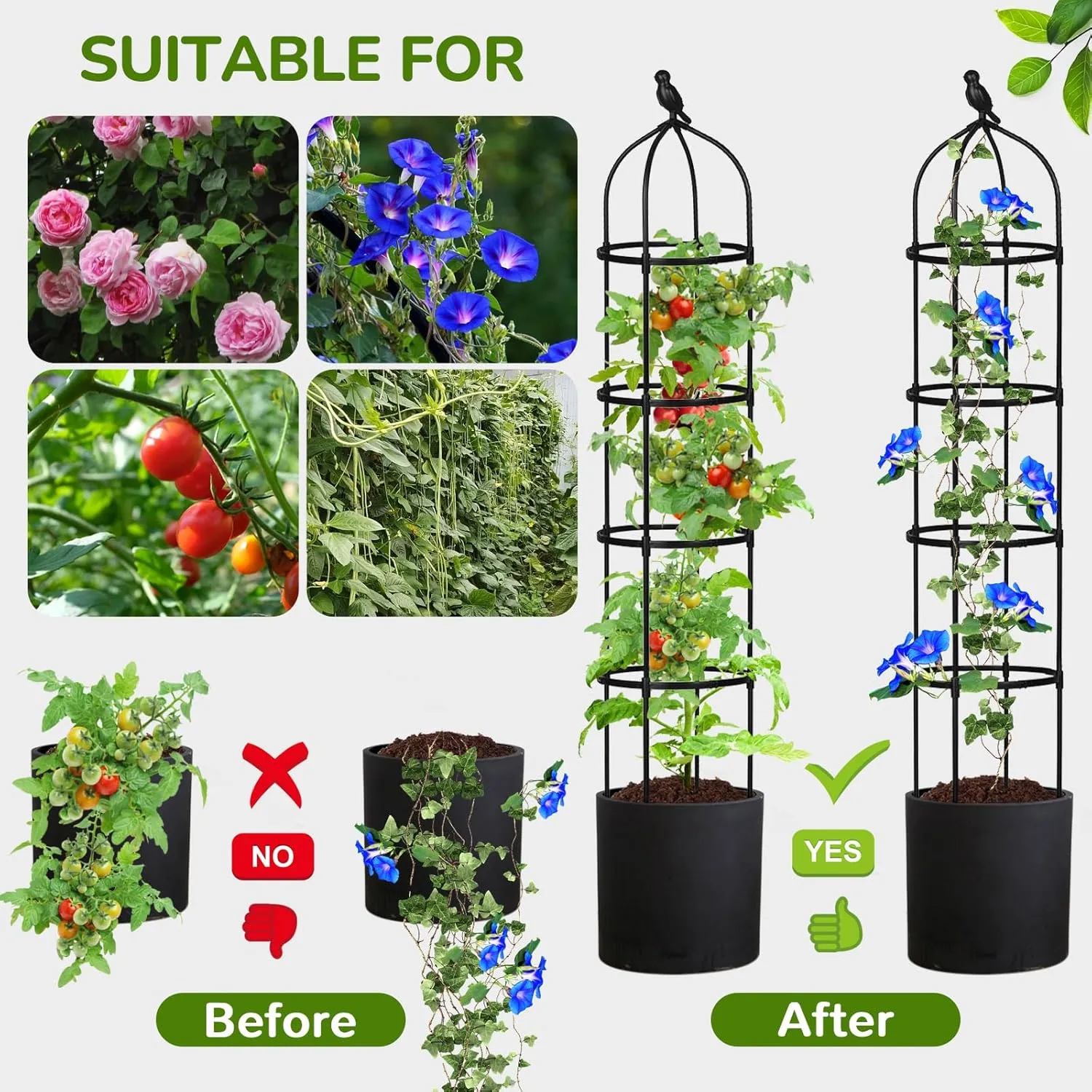 Garden Obelisk Trellis for Climbing Plants Outdoor, 6FT Tomato Cage, Rose, Flowers, Grape, Pea, Cucumber Trellis, Rustproof Plastic Coated Metal Plant Support Trellis for Potted Plants (2 Pack)