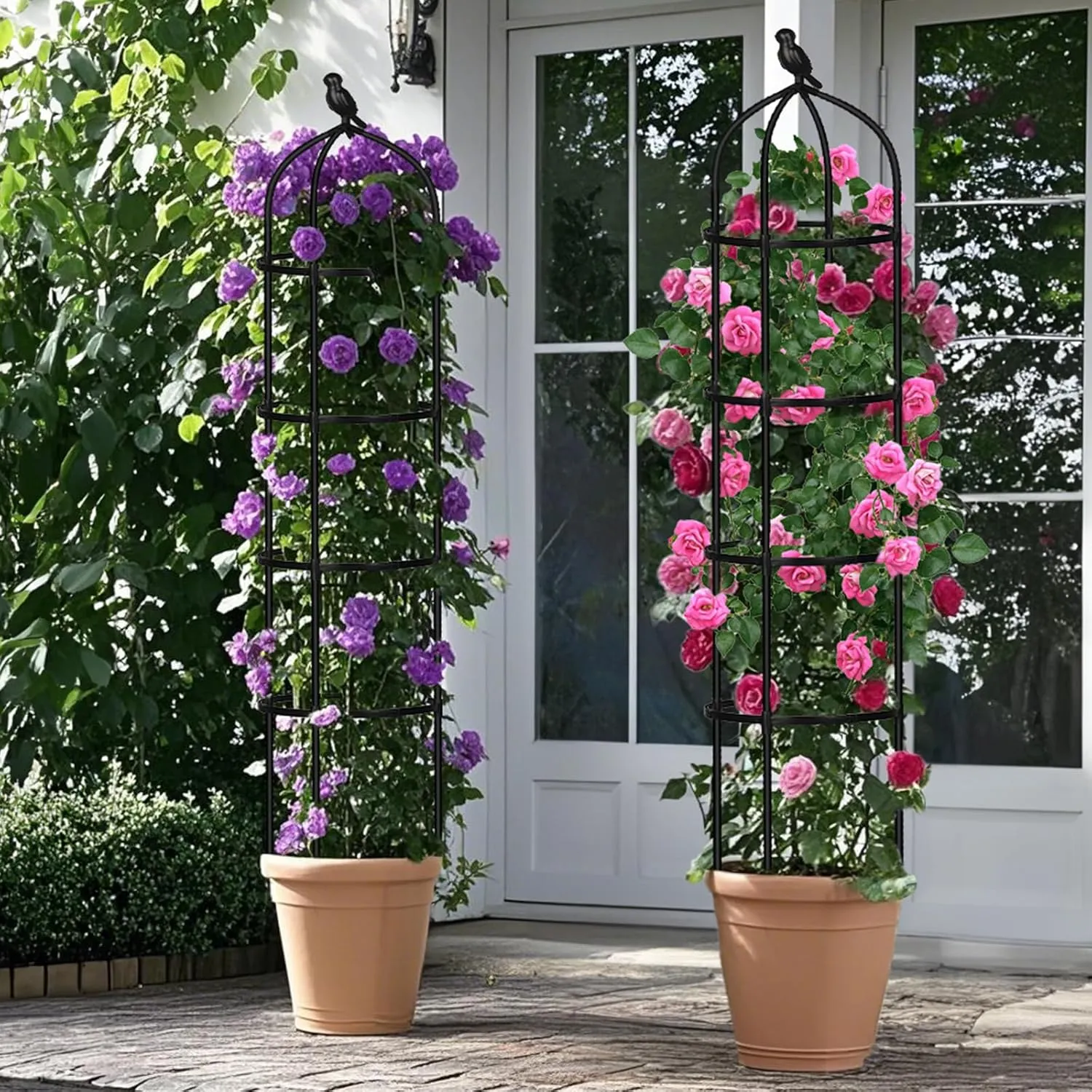 Garden Obelisk Trellis for Climbing Plants Outdoor, 6FT Tomato Cage, Rose, Flowers, Grape, Pea, Cucumber Trellis, Rustproof Plastic Coated Metal Plant Support Trellis for Potted Plants (2 Pack)