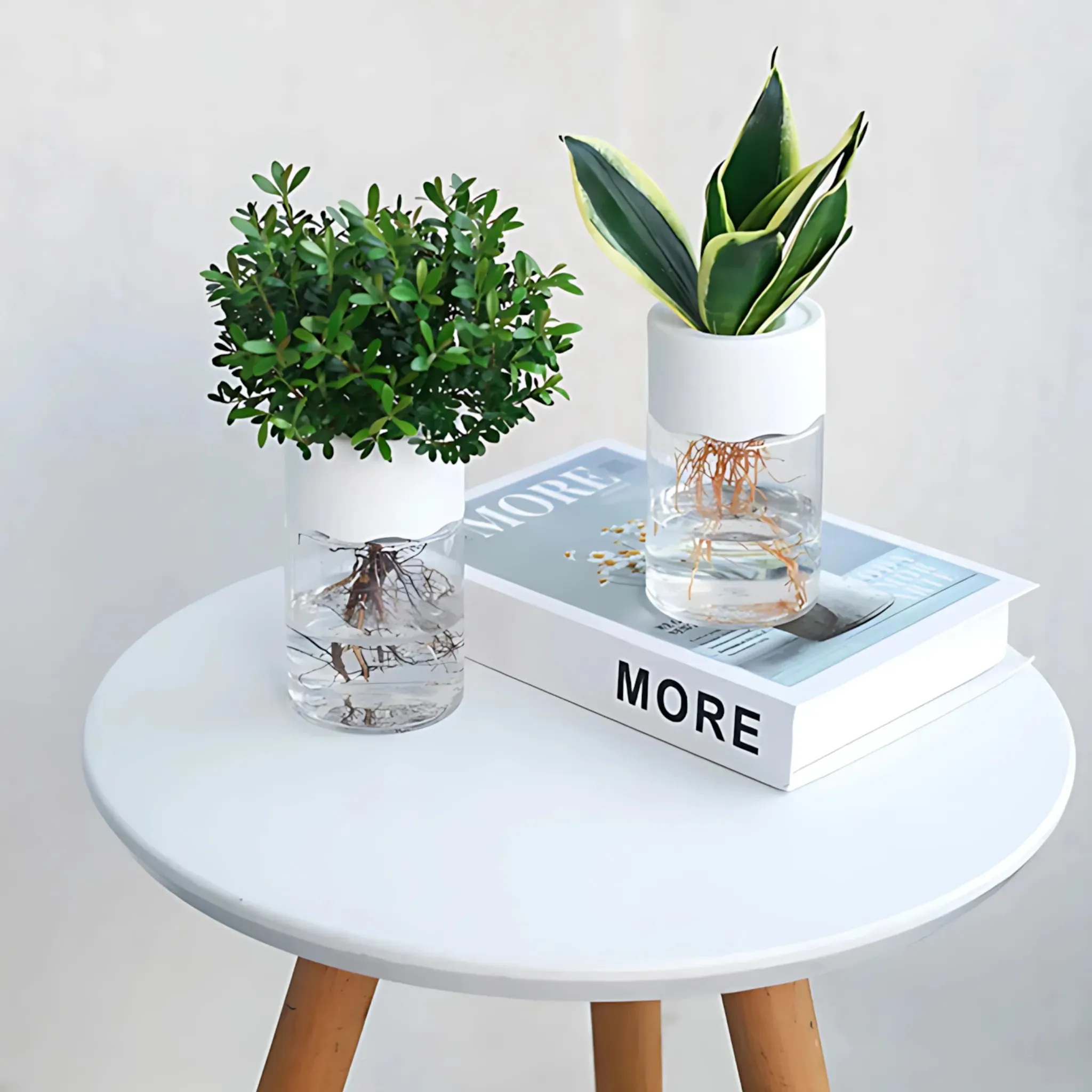 Hydroponic Flower Pot - Transparent Glass Look for Home Decor
