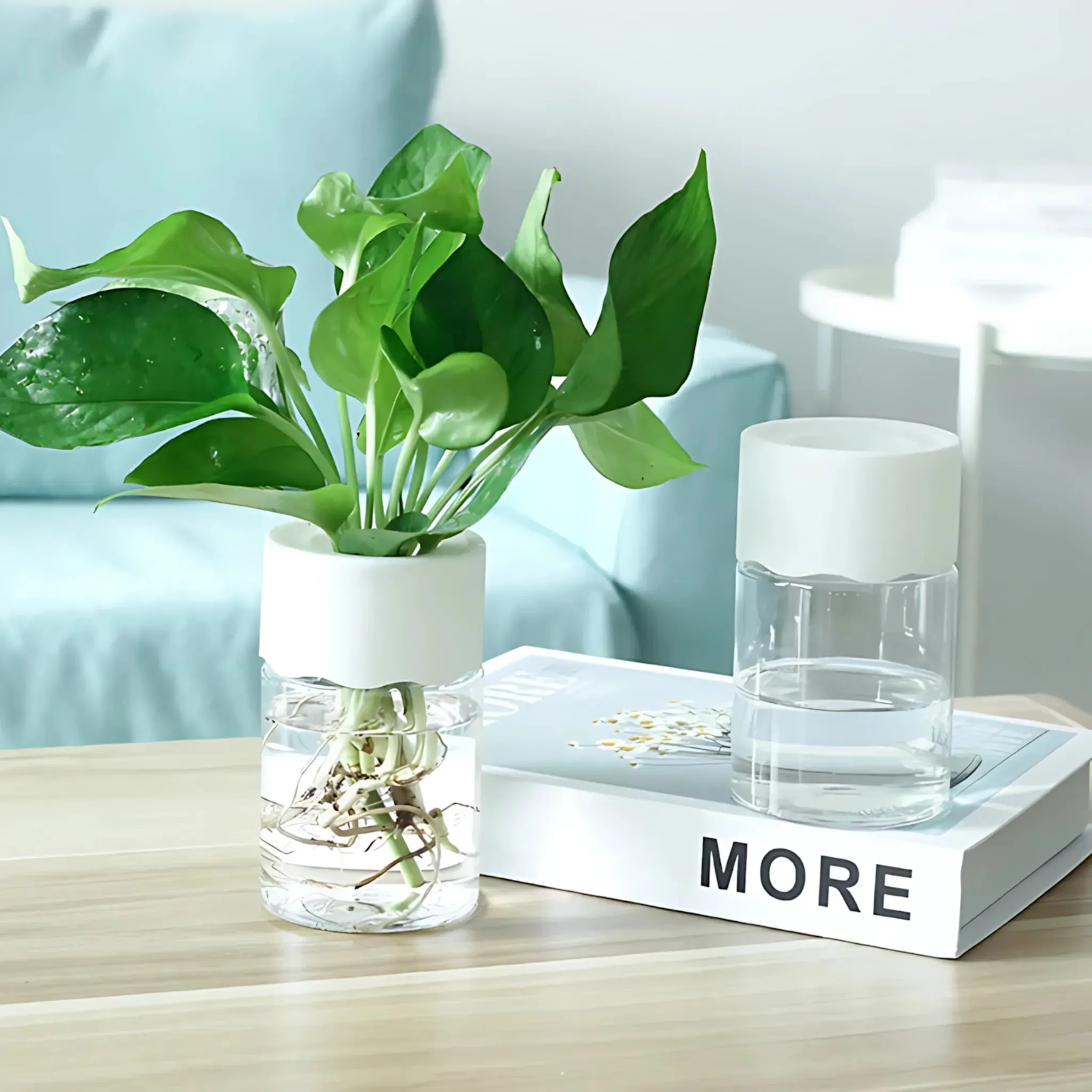 Hydroponic Flower Pot - Transparent Glass Look for Home Decor