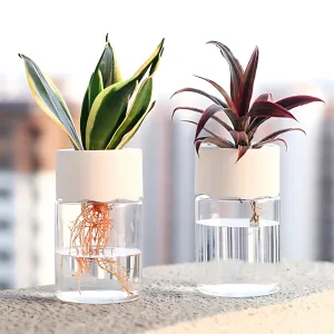 Hydroponic Flower Pot - Transparent Glass Look for Home Decor