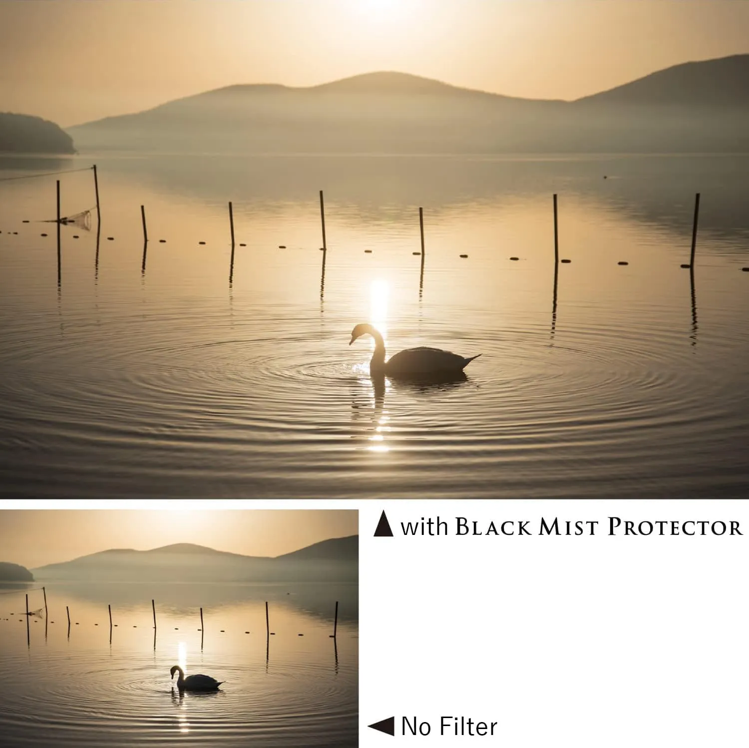 Kenko Lens Protection & Soft Effect Filter Black Mist Protector φ72mm, Multi-coted, 0.25 Soft Effect, for That Perfect Cinematic Scene, Made in Japan 825655