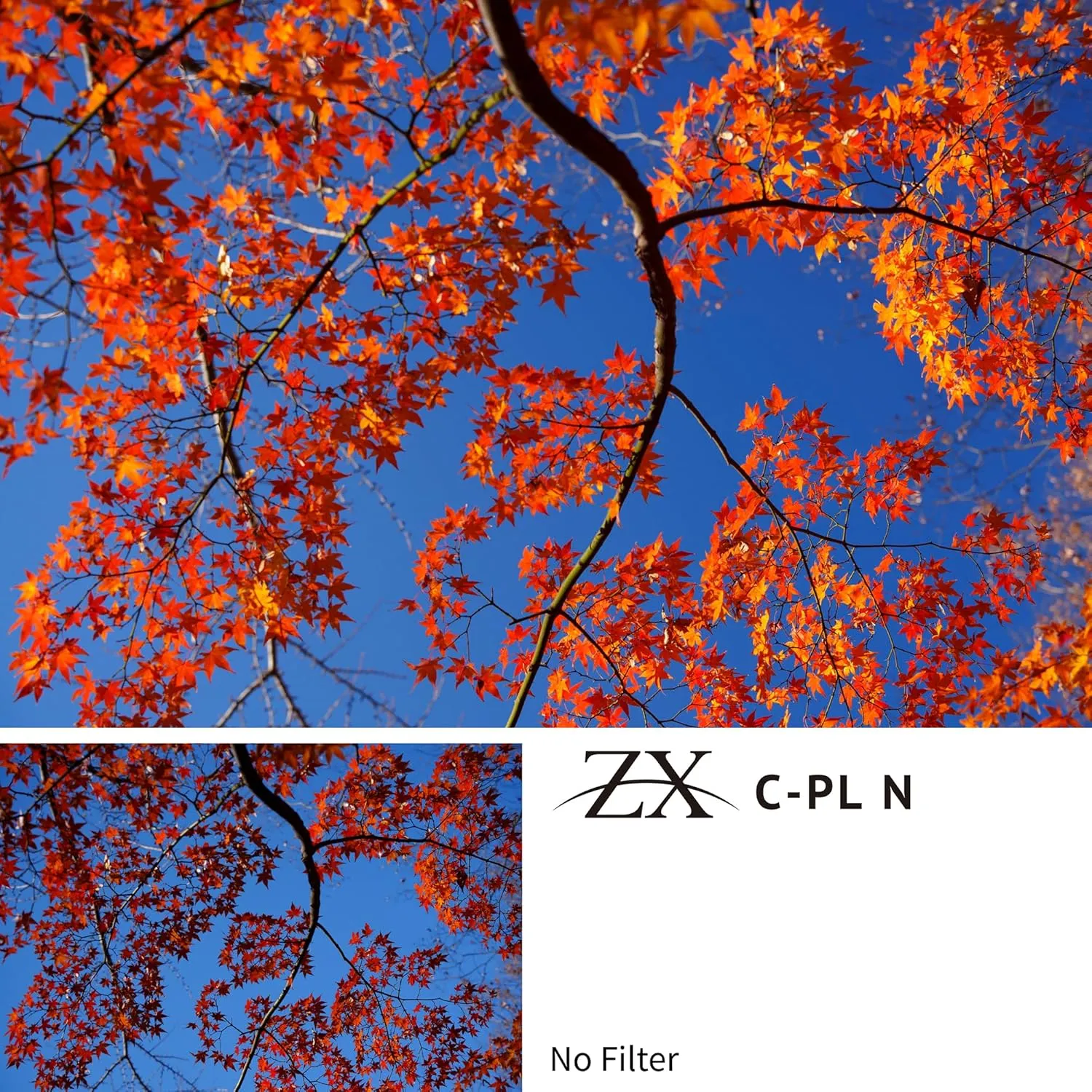 Kenko Polarizing Filter ZX C-PL N φ67mm, Ultra-Low Surface Reflection of 0.16-0.2%, Anti-Static Coating, Floating Frame, Made in Japan, 947623