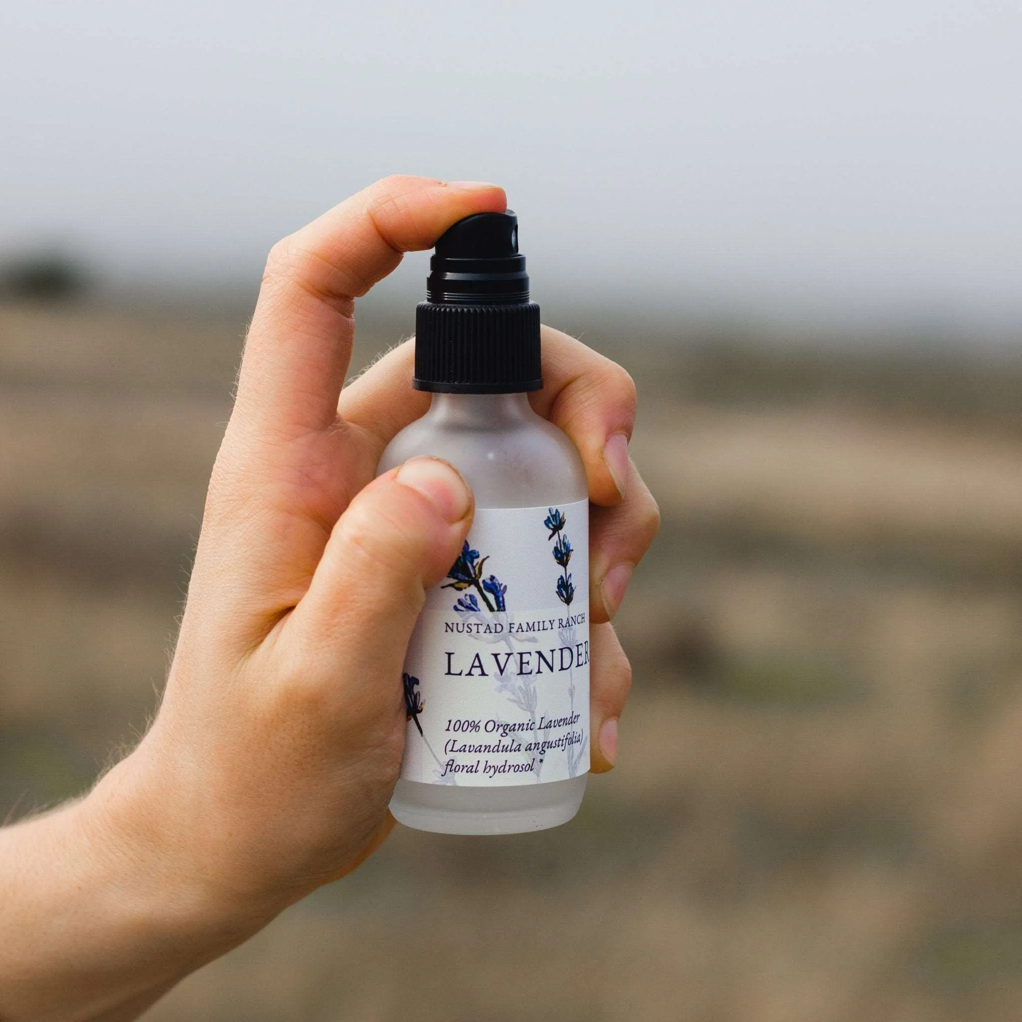 Lavender Hydrosol