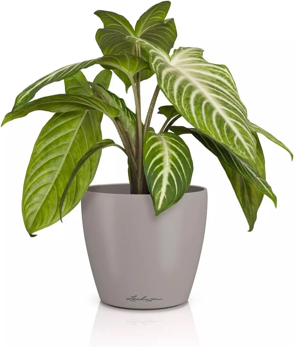 Lechuza Classico Color 14 Deco 16682 Table Pot Matte Surface Diameter 15 x 13.5 cm Sand Brown