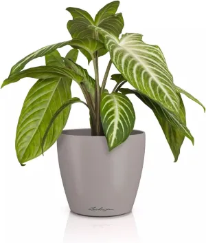 Lechuza Classico Color 14 Deco 16682 Table Pot Matte Surface Diameter 15 x 13.5 cm Sand Brown
