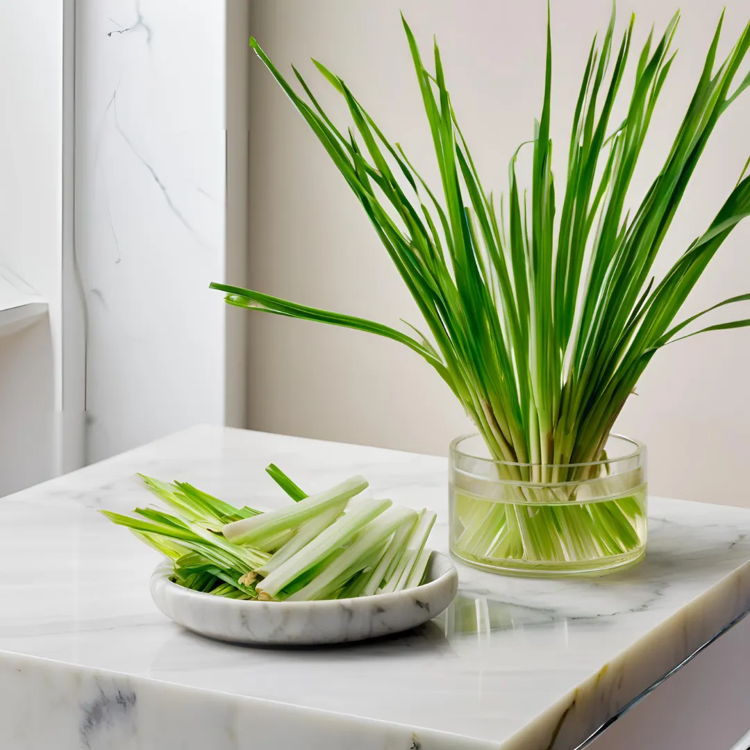 Organic Lemongrass Essential Oil – Antifungal, Antiviral & Energizing Aromatherapy