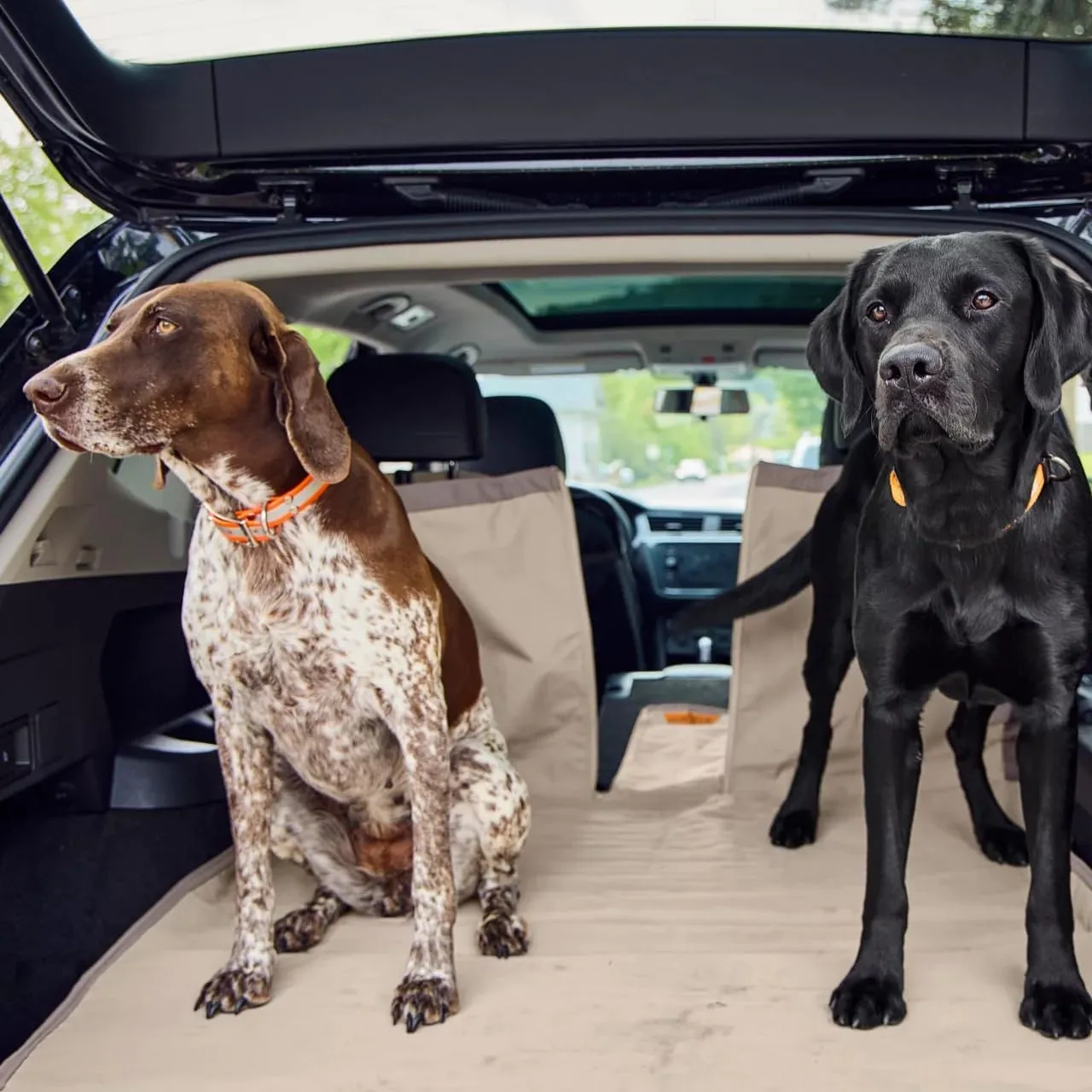 Orvis Dog Tough Trail Cargo Protector, Granite - Full Size