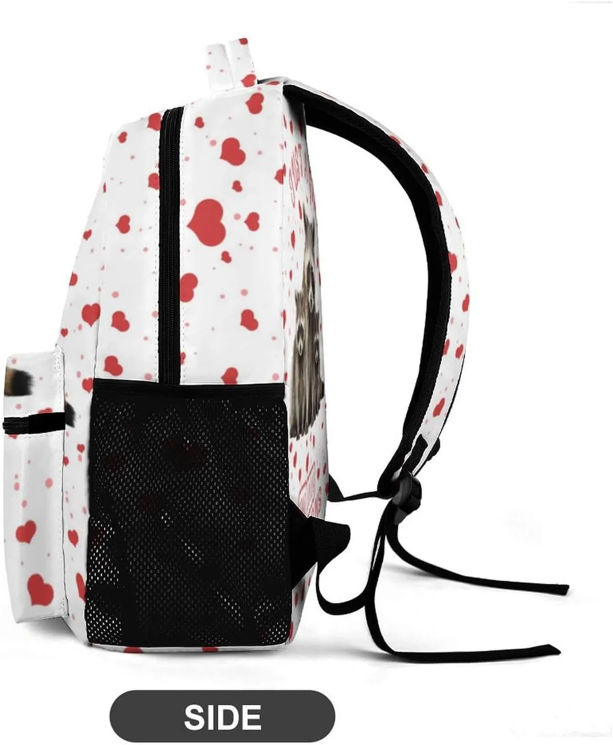 Raccoon School Backpack for Kids Girls Boys, 16 Inch Raccoons Bookbag, School Backpack for Students Children