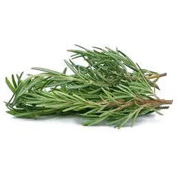 Rosemary Essential Oil   30 ml