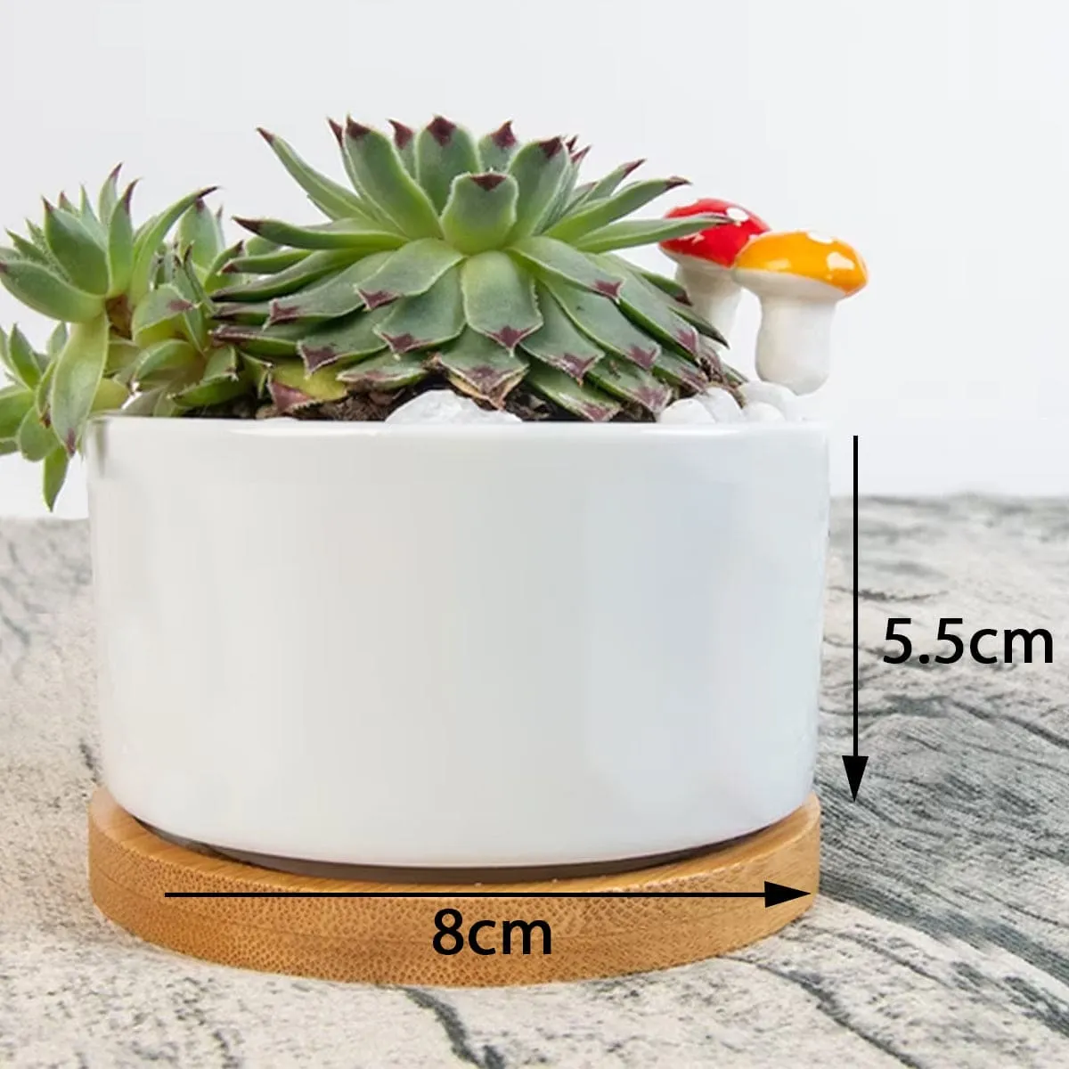 Skull Butterflies Single Side Printing Flowerpot