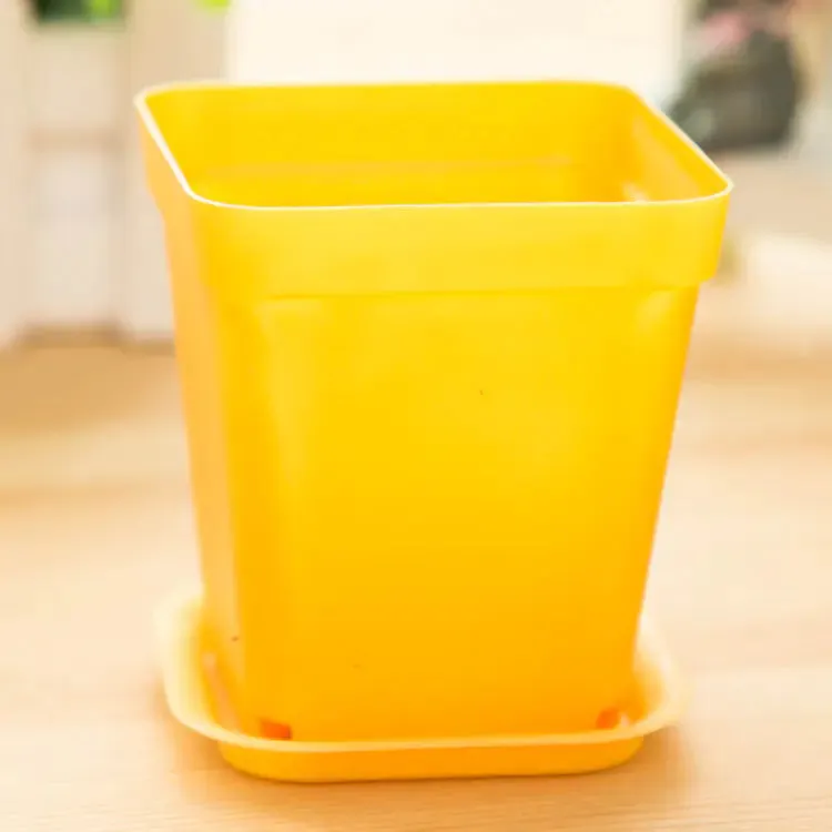Small Planter for Gardening