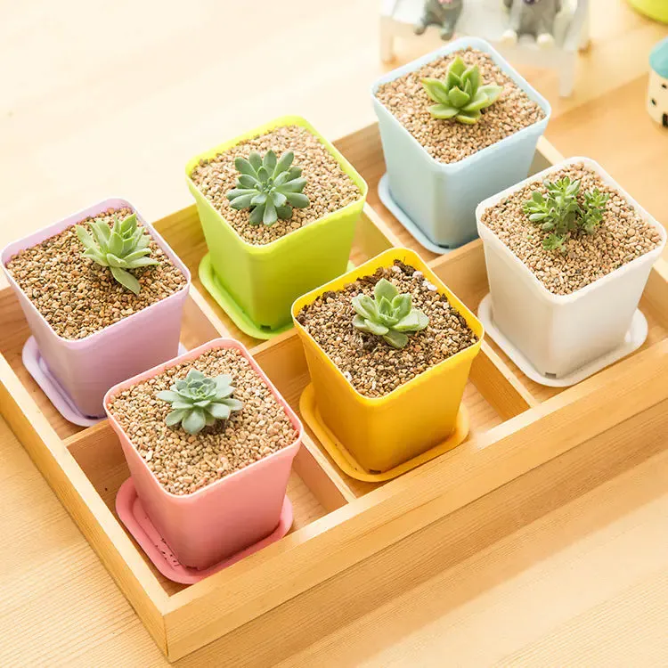 Small Planter for Gardening