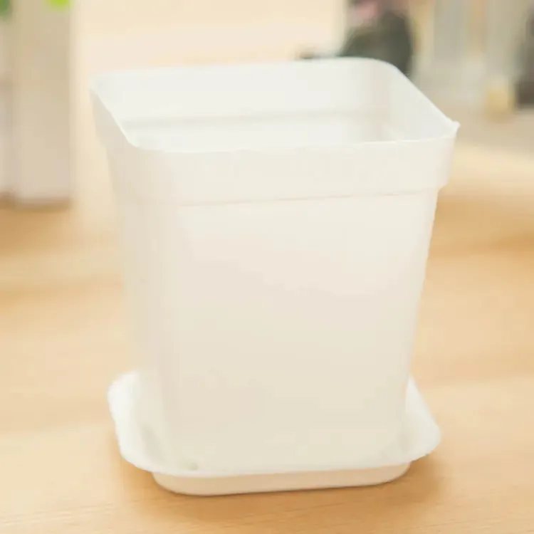 Small Planter for Gardening