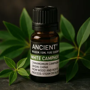 White Camphor Essential Oil 10 ml