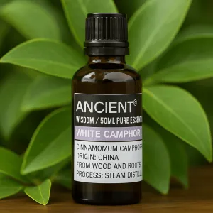 White Camphor Essential Oil 50ml