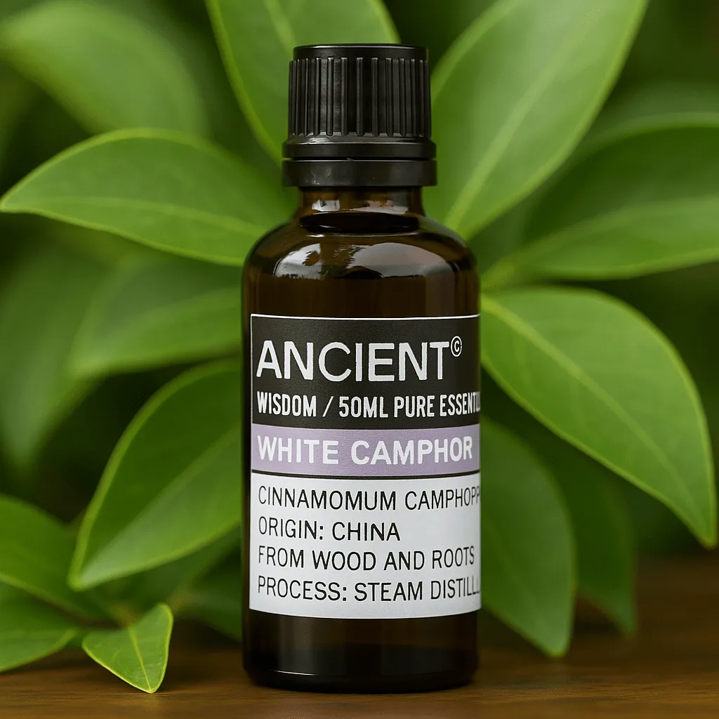 White Camphor Essential Oil 50ml