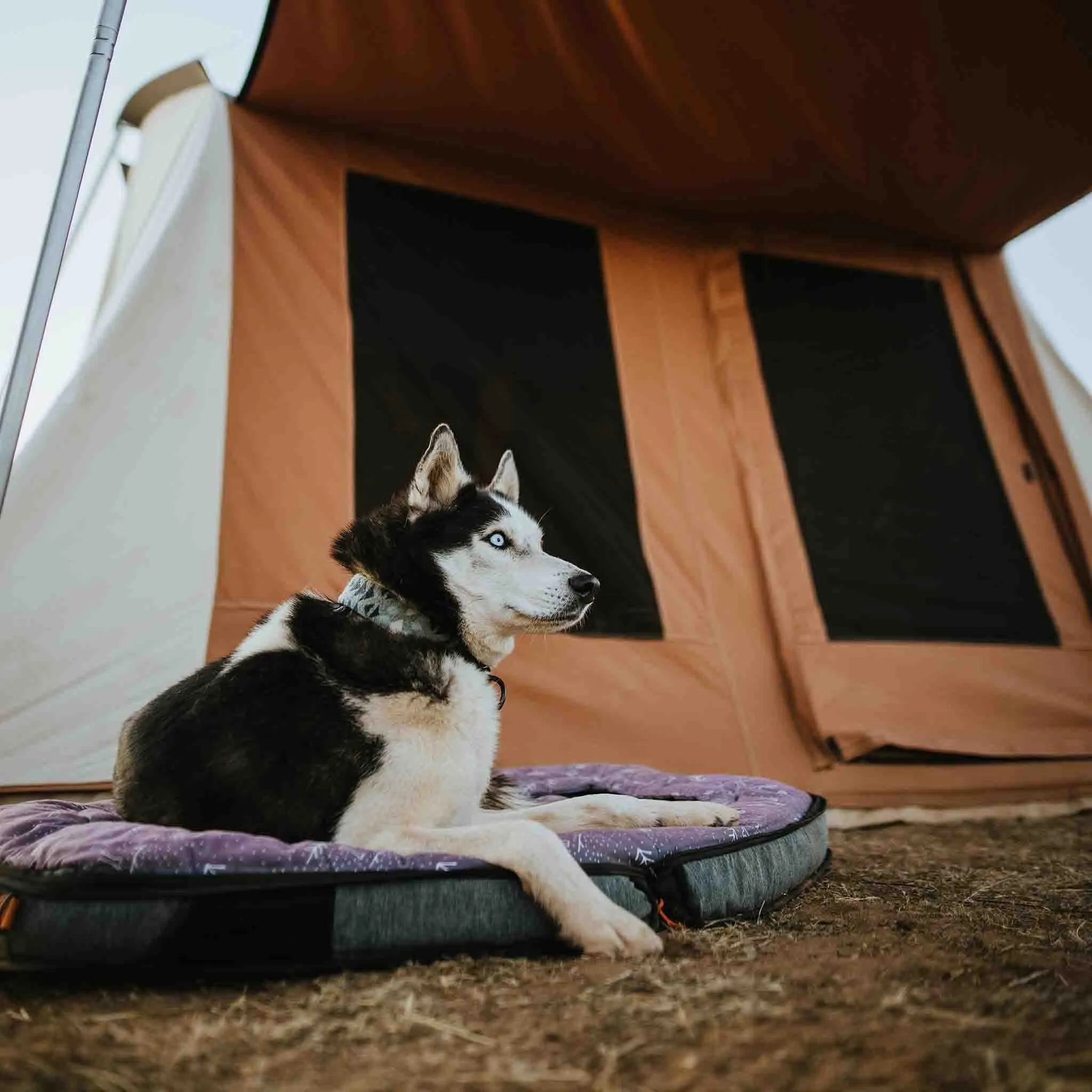 White Duck Outdoors Prota Canvas Tent Standard/Deluxe - 7'x9'