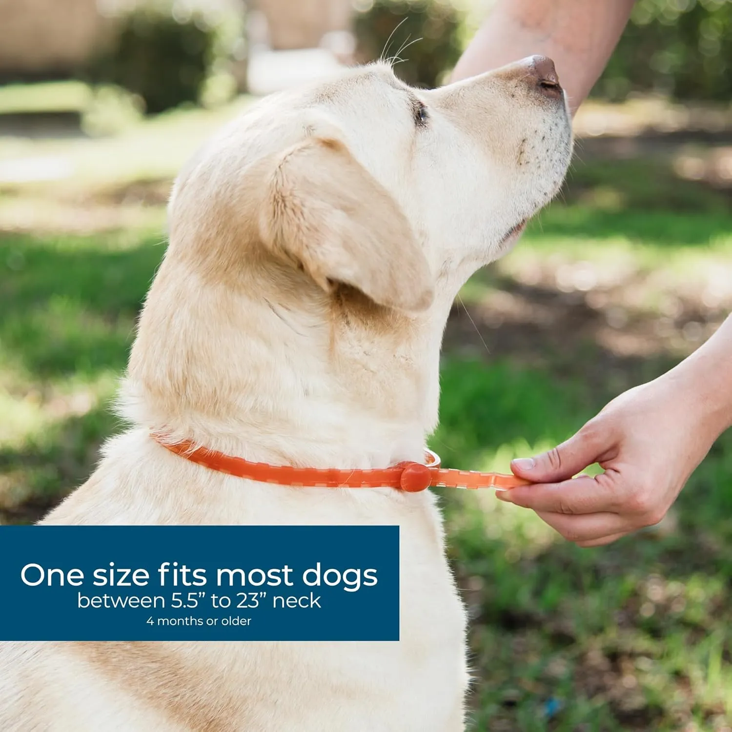 Wondercide - Dog Collar - Flea, Tick, Mosquito Repellent for Dogs with Natural Essential Oils - Small Medium 3PK - Up to 12 Months Protection